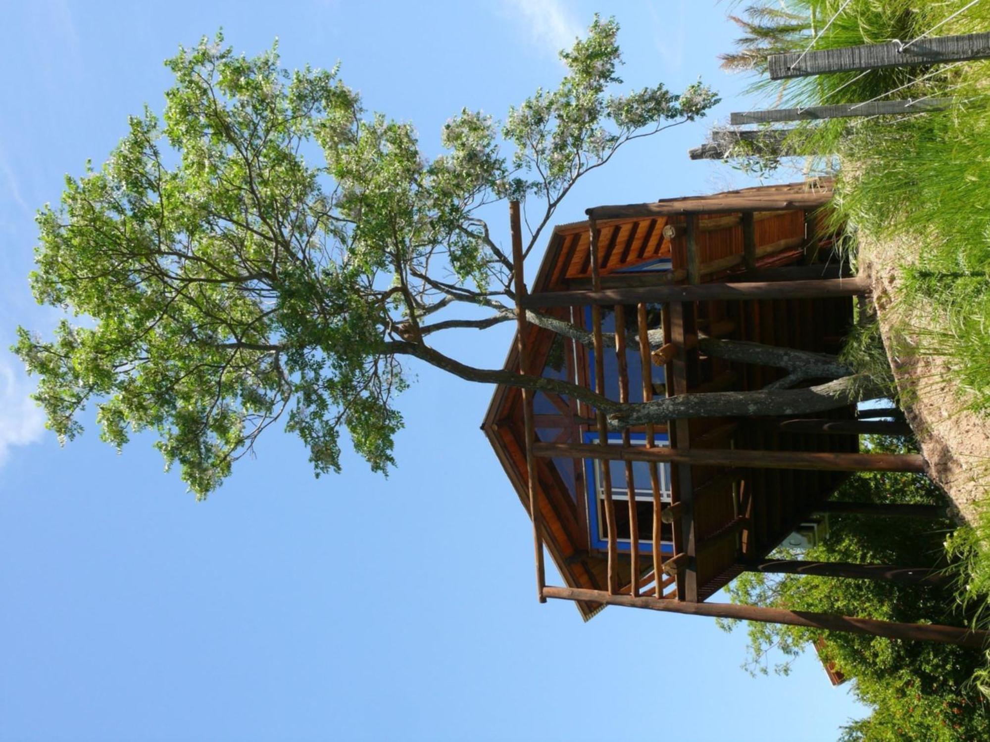 Cabanas De La Ribera San Pedro  Ngoại thất bức ảnh
